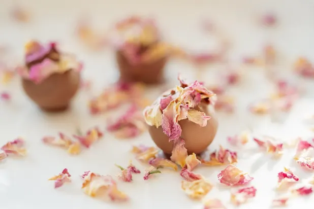 Tusk Casino Android/iOS App